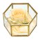 Hipiwe Preserved Flower Glass Box Hexagon Glass Jewelry Decorative Bin Ornate Trinket Display Organizer Case Keepsake Box Gift for Women
