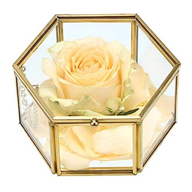Hipiwe Preserved Flower Glass Box Hexagon Glass Jewelry Decorative Bin Ornate Trinket Display Organizer Case Keepsake Box Gift for Women
