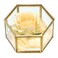 Hipiwe Preserved Flower Glass Box Hexagon Glass Jewelry Decorative Bin Ornate Trinket Display Organizer Case Keepsake Box Gift for Women