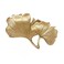 Pasiir Small Leaf Shaped Trinket Dish Decorative Gold Jewelry Dish Tray Ring Hodler Dish Jewelry Organizer