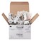 Command Broom Grippers 6 Hangers and 16 Strips DamageFree Mop and Broom Holder Wall Mount Household Cleaning Tool Organizer for Kitchen Laundry Room Closet Holds up to 4 lb