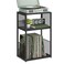 VASAGLE Record Player Stand 3Tier Side Table Vinyl Record Storage up to 100 Albums End Table for Living Room Bedroom Ebony Black ULET275B01