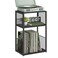 VASAGLE Record Player Stand 3Tier Side Table Vinyl Record Storage up to 100 Albums End Table for Living Room Bedroom Ebony Black ULET275B01