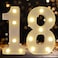 DyingSwan Led Light Up Numbers 18th Birthday Decorations Marquee Numbers Lights Battery Powered Light Up Sign for Sweet 18 Decor Party White