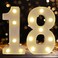 DyingSwan Led Light Up Numbers 18th Birthday Decorations Marquee Numbers Lights Battery Powered Light Up Sign for Sweet 18 Decor Party White