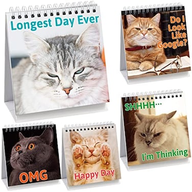 Fancy Land Funny Desk Signs for Kitten Lovers 30 Different Fun and FlipOver Messages for Office Desk Accessories