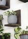 Daniel's Plants Daniels Plants 3Pack MidCentury Modern LShaped Floating Shelves Solid Wood Plant Wall Shelf Kit Dusk Grey