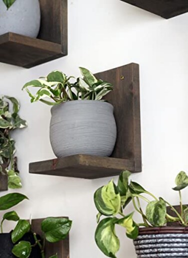 Daniel's Plants Daniels Plants 3Pack MidCentury Modern LShaped Floating Shelves Solid Wood Plant Wall Shelf Kit Dusk Grey