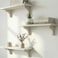 Willowy Real Wood White Shelves for Wall 17 inch 3 Pack Easy to Install Template and Video Included White Wall Shelves Shelves for Room Decorative Wall Shelf
