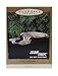 Hallmark Star Trek The Next Generation USS Enterprise Blinking Light Keepsake Ornament