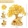 Bwinka Feng Shui Lucky Money Toad DecorationsIdeal for Attracting WealthLucky Charm Wealth Frog for Cash Register Office Desk House Warming Store Opening Gift