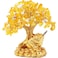 Bwinka Feng Shui Lucky Money Toad DecorationsIdeal for Attracting WealthLucky Charm Wealth Frog for Cash Register Office Desk House Warming Store Opening Gift