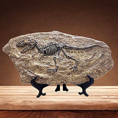 XINDAM Resin Tyrannosaurus Rex Dinosaur Fossil Statue Model Simulated Skeleton Home Office Display Decorative Craft Box Decoration Style 5