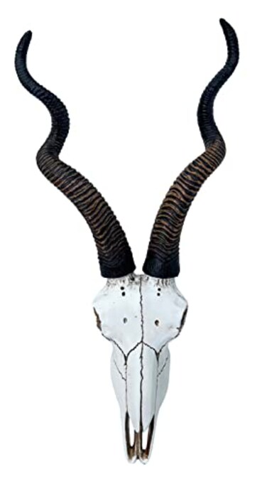 Top Brass 14 12 African Kudu Antelope Skull Wall Mount Head Rustic Safari Decor