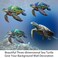 John's Studio Johns Studio 3Pcs Metal Turtle Sea Wall Decor Outdoor Garden Hanging Art Sculptures Home Ocean Theme Decorations for Kitchen Bathroom and Pool