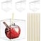 LOKQING 20 Pack 4x 4 x 4 Clear Candy Apple Boxes with Hole and Sticks Set Food Grade Plastic Clear Caramel Apple Containers Chocolate Covered Apples Packaging Party Favor Gift Goxes