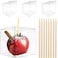 LOKQING 20 Pack 4x 4 x 4 Clear Candy Apple Boxes with Hole and Sticks Set Food Grade Plastic Clear Caramel Apple Containers Chocolate Covered Apples Packaging Party Favor Gift Goxes
