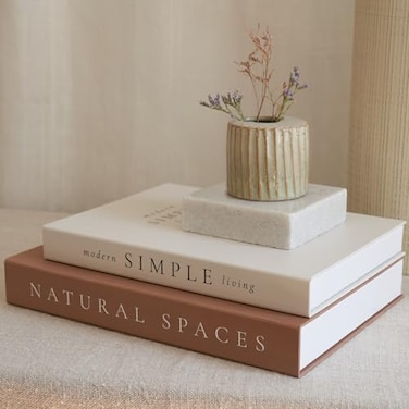 ZICOTO Beautiful Decorative Books Set of 2 Boxes Enhance Your Coffee Table Bookshelf or Mantel Shelf Decor Aesthetic FakeFaux Books for Modern Home Decoration Photo Storage and as a Keepsake Box