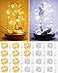 HOBAYS 20 Pack Fairy Lights Battery Operated 33ft 20 LED Mini String Lights Copper Wire Twinkle Lights for Mason Jars Festivals Wedding Christmas Party Centerpiece Table Decorations Warm White Cool Wh