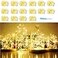 SunKite 16 Packs 20 LED Fairy String Lights Battery Operated Waterproof 66 Feet Silver Copper Wire Firefly Starry Moon Lights for DIY Costume Wedding Party Bedroom Table Decor Warm White