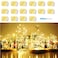 SunKite 16 Packs 20 LED Fairy String Lights Battery Operated Waterproof 66 Feet Silver Copper Wire Firefly Starry Moon Lights for DIY Costume Wedding Party Bedroom Table Decor Warm White