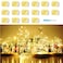 SunKite 16 Packs 20 LED Fairy String Lights Battery Operated Waterproof 66 Feet Silver Copper Wire Firefly Starry Moon Lights for DIY Costume Wedding Party Bedroom Table Decor Warm White