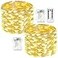 EXF 2Pack Fairy Lights Battery Operated with Remote Waterproof 33FT 100 LED Battery String Lights Outdoor Indoor 8 Modes Twinkle Lights with Timer for Bedroom Classroom DIY Christmas Decor Warm White