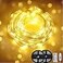 Clearhill 2pack Fairy Lights 10M32 FT Warm 100LED USB Soft Wire String Lights Waterproof with Remote Timer 8 Modes Lights for Bedroom Christmas Tree Indoor Outdoor Decoration