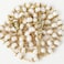 Jirehjill Rosary Beads Catholic for Woman 89mm AAA Freshwater White Natural Real Pearl Rosary Beads