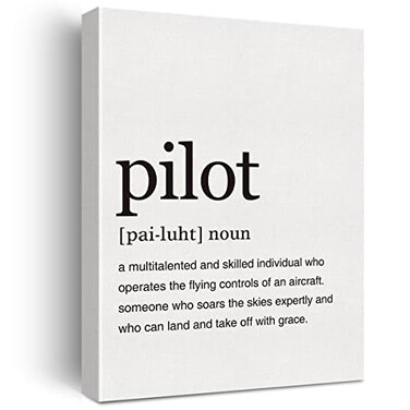 LEXSIVO Pilot Definition Print Canvas Wall Art Home Office Decor Modern Pilot Quote Painting 12x15 Canvas Poster Framed Ready to Hang Artwork