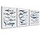 NOGRIT Shark Wall Art Set of 3 1114 Inch Classroom Dorm Decor Gift for Shark Lovers