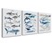 NOGRIT Shark Wall Art Set of 3 1114 Inch Classroom Dorm Decor Gift for Shark Lovers