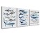 NOGRIT Shark Wall Art Set of 3 1114 Inch Classroom Dorm Decor Gift for Shark Lovers