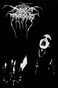Darkthrone Poster Transilvanian Hunger Official Black Textile 70Cm X 106Cm Size One size