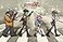 XIHOO Abbey Road Gorillaz Style Wall Decor Poster 16x25