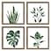 ArtbyHannah Framed Bathroom Wall Art Decor 10x10 Inch 4 Pack Botanical Gallery Wall Frame Set Modern Farmhouse Sage Green Prints Artwork for Spa Restroom Bedroom Office Decoration Walnut