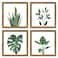 ArtbyHannah Framed Bathroom Wall Art Decor 10x10 Inch 4 Pack Botanical Gallery Wall Frame Set Modern Farmhouse Sage Green Prints Artwork for Spa Restroom Bedroom Office Decoration Walnut