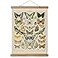 ABoby Hanging Posters Decorative Wall Art Prints Fabric Tapestries With Wood Frames Ready to Hang 16 x 24 x 1 Panels Artwork 11