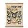 ABoby Vintage Butterflies Hanging Poster Retro Style of Wall Art Prints Printed on Linen with Wood Frames Ready to Hang