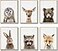 EPHANY Baby Animal Posters and Prints ART Rabbite Deer Fox Canvas Painting Nursery Pig Wall Art Piglet Print Wall Art Nordic Picture Kids Room Decoration YMX014 8x1020x25cm