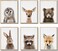 EPHANY Baby Animal Posters and Prints ART Rabbite Deer Fox Canvas Painting Nursery Pig Wall Art Piglet Print Wall Art Nordic Picture Kids Room Decoration YMX014 8x1020x25cm