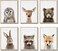 EPHANY Baby Animal Posters and Prints ART Rabbite Deer Fox Canvas Painting Nursery Pig Wall Art Piglet Print Wall Art Nordic Picture Kids Room Decoration YMX014 8x1020x25cm
