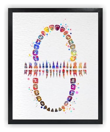 Dignovel Studios 11X14 Unframed Tooth Chart Anatomical Dental Clinic Dentistry Science Watercolor Art Print Poster DN565