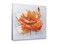 Niwo ART Orange Poppies Flower Canvas Wall Art Home DecorFramed Ready to Hang