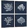 HOMEOART Coral Canvas Wall Art Prints Ocean Navy Blue Coastal Artwork Beach Home Decor Picture Framed Ready to Hang 12x12x4 Pieces