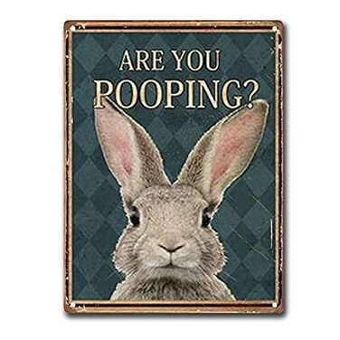 DPHGQGK Rabbit Poster Funny Rabbit Decor Bathroom Decor Art 12x16inch Tin Sign