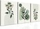 Induslyfe Large Framed Boho Canvas Wall Art Set of 3 Mid Century Modern room Decor Minimalist Geometric Abstract Boho Bathroom wall art Canvas Prints Ready To Hang Bedroom decor Sage Green