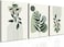 Induslyfe Large Framed Boho Canvas Wall Art Set of 3 Mid Century Modern room Decor Minimalist Geometric Abstract Boho Bathroom wall art Canvas Prints Ready To Hang Bedroom decor Sage Green
