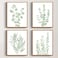Drsoum Framed Botanical Plant Canvas Wood Wall Art Light Green Sage Wall Decor Eucalyptus Leaf Picture for Bedroom Living Room Bathroom Office 8x 10 x 4pcs