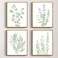 Drsoum Framed Botanical Plant Canvas Wood Wall Art Light Green Sage Wall Decor Eucalyptus Leaf Picture for Bedroom Living Room Bathroom Office 8x 10 x 4pcs